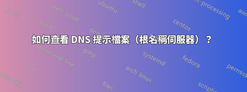 如何查看 DNS 提示檔案（根名稱伺服器）？