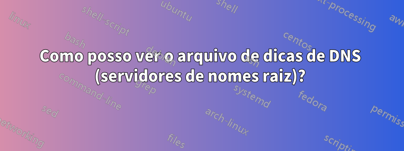 Como posso ver o arquivo de dicas de DNS (servidores de nomes raiz)?