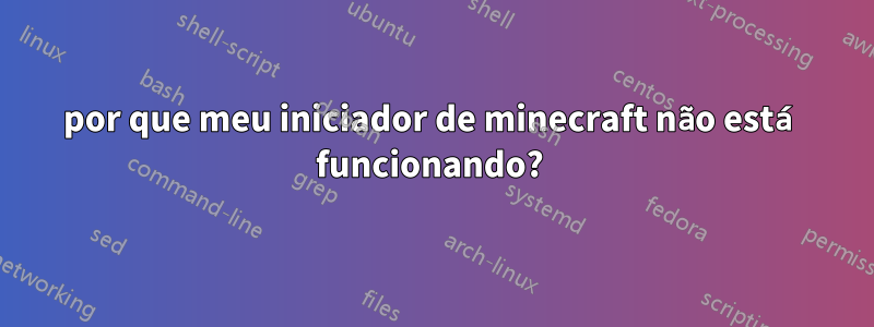 por que meu iniciador de minecraft não está funcionando? 