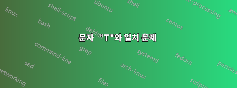 문자 "T"와 일치 문제