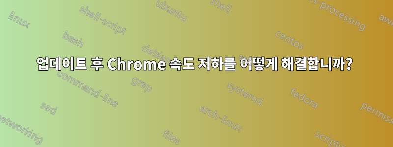 업데이트 후 Chrome 속도 저하를 어떻게 해결합니까?