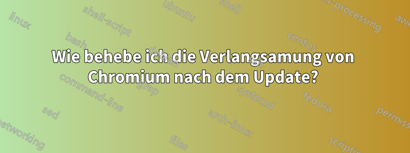 Wie behebe ich die Verlangsamung von Chromium nach dem Update?