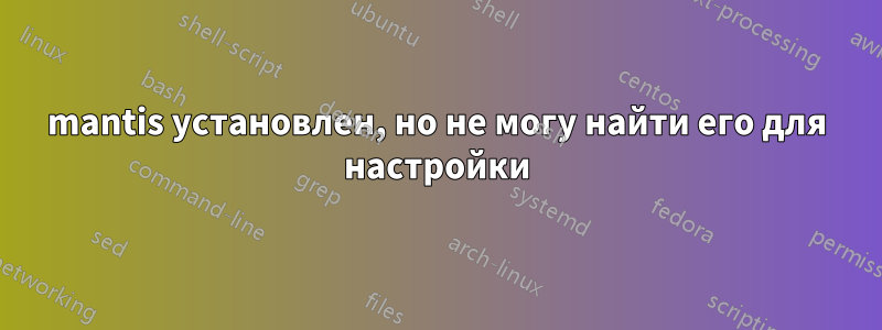 mantis установлен, но не могу найти его для настройки