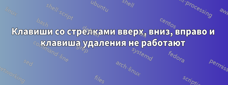 Клавиши со стрелками вверх, вниз, вправо и клавиша удаления не работают