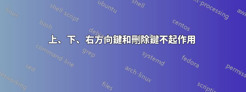 上、下、右方向鍵和刪除鍵不起作用