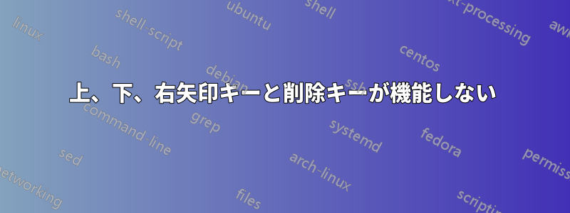 上、下、右矢印キーと削除キーが機能しない