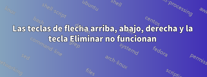 Las teclas de flecha arriba, abajo, derecha y la tecla Eliminar no funcionan