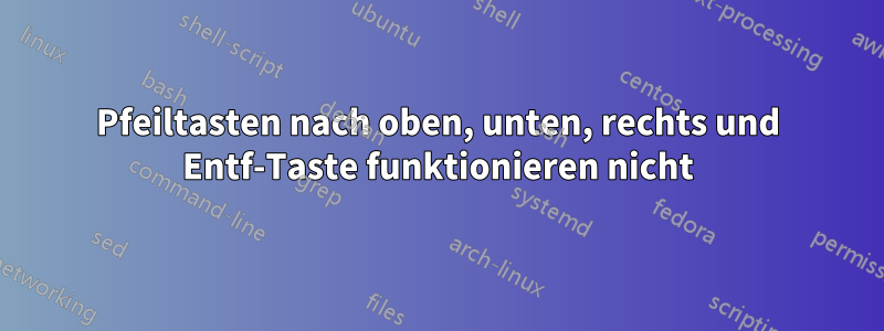 Pfeiltasten nach oben, unten, rechts und Entf-Taste funktionieren nicht