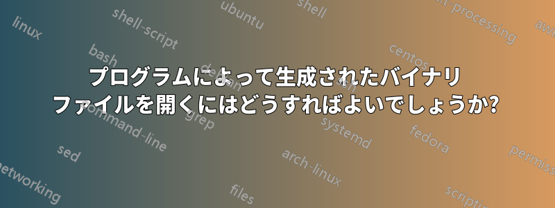 プログラムによって生成されたバイナリ ファイルを開くにはどうすればよいでしょうか?