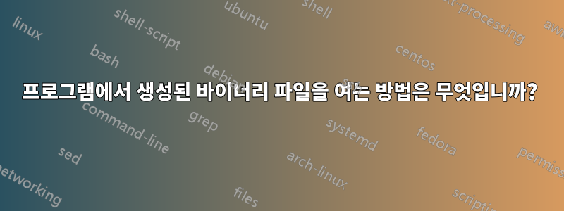 프로그램에서 생성된 바이너리 파일을 여는 방법은 무엇입니까?