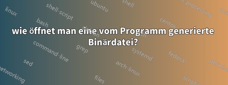 wie öffnet man eine vom Programm generierte Binärdatei?