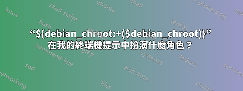 “${debian_chroot:+($debian_chroot)}” 在我的終端機提示中扮演什麼角色？