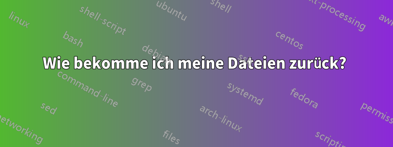 Wie bekomme ich meine Dateien zurück?