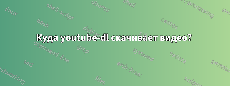 Куда youtube-dl скачивает видео?