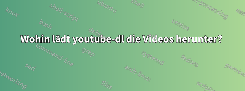 Wohin lädt youtube-dl die Videos herunter?