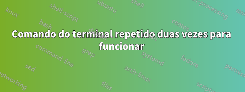 Comando do terminal repetido duas vezes para funcionar