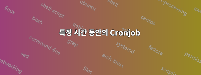 특정 시간 동안의 Cronjob