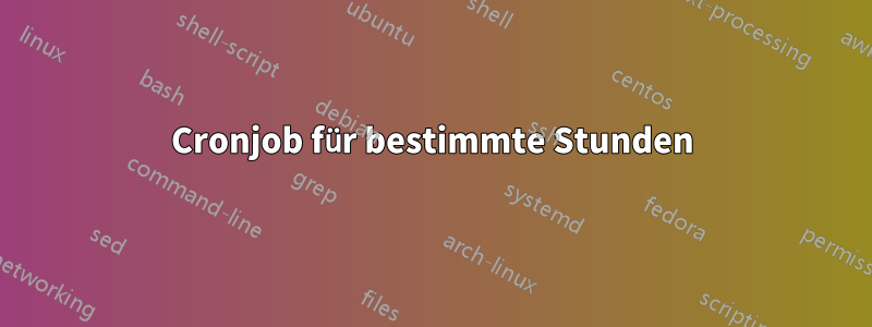 Cronjob für bestimmte Stunden