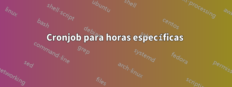 Cronjob para horas específicas