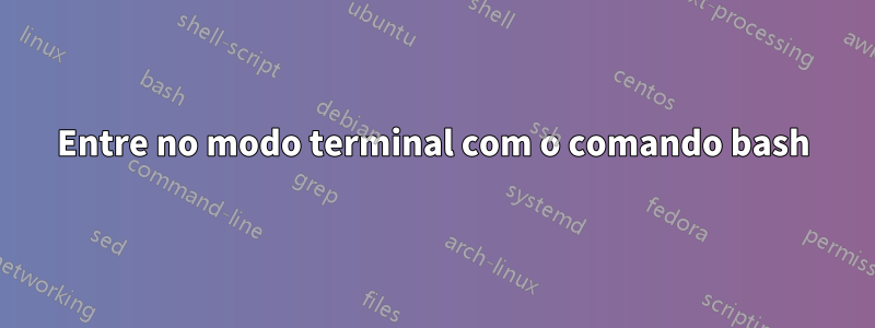 Entre no modo terminal com o comando bash