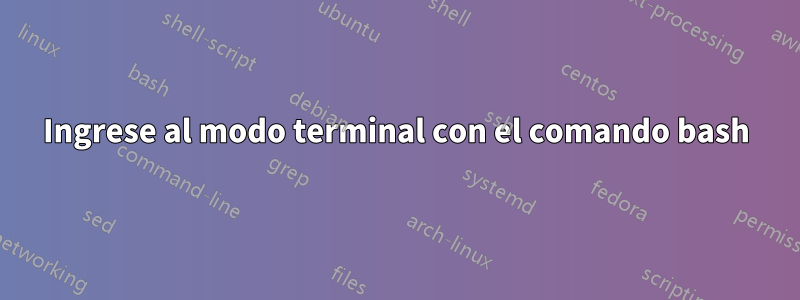 Ingrese al modo terminal con el comando bash