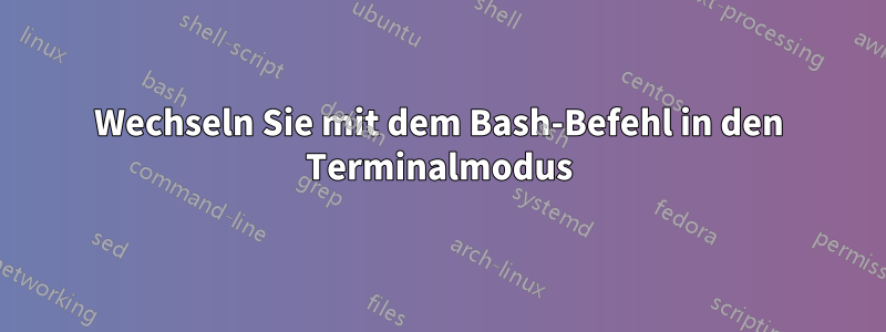 Wechseln Sie mit dem Bash-Befehl in den Terminalmodus