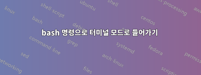 bash 명령으로 터미널 모드로 들어가기