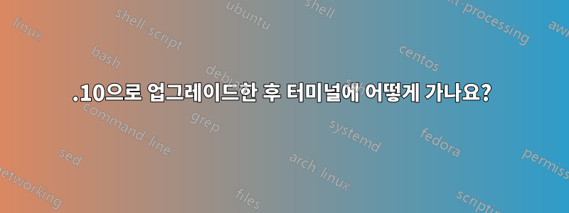 13.10으로 업그레이드한 후 터미널에 어떻게 가나요?