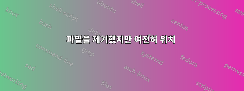 파일을 제거했지만 여전히 위치