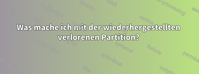 Was mache ich mit der wiederhergestellten verlorenen Partition?