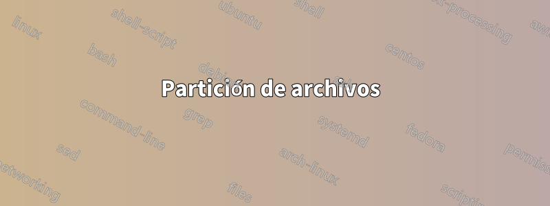 Partición de archivos 