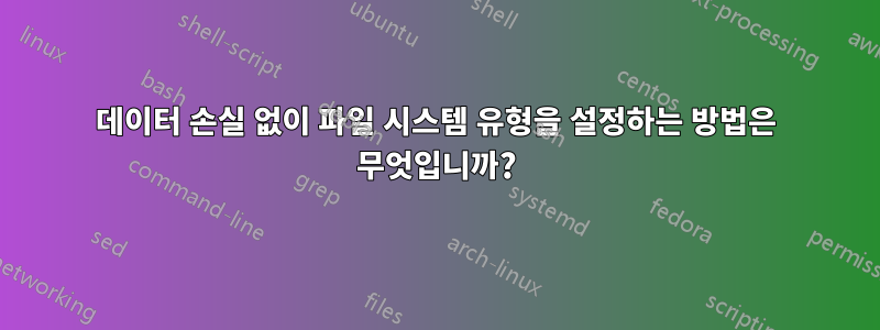 데이터 손실 없이 파일 시스템 유형을 설정하는 방법은 무엇입니까?