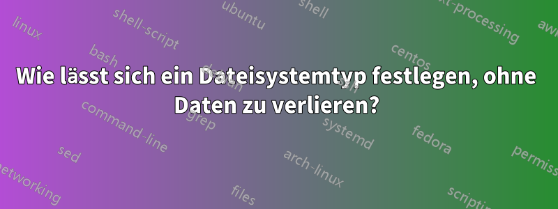 Wie lässt sich ein Dateisystemtyp festlegen, ohne Daten zu verlieren?