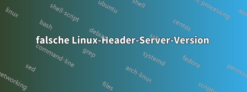 falsche Linux-Header-Server-Version