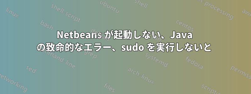 Netbeans が起動しない、Java の致命的なエラー、sudo を実行しないと