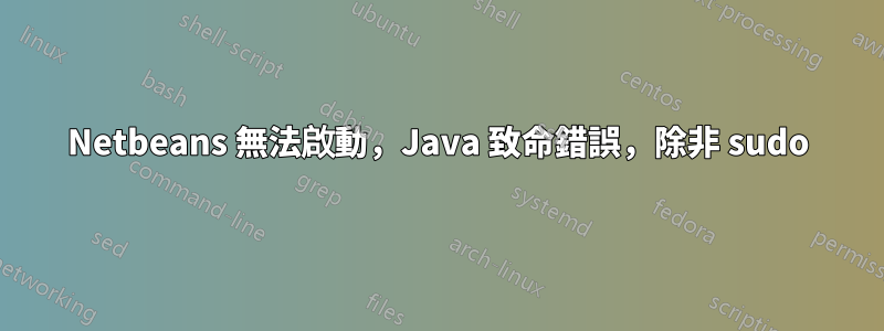 Netbeans 無法啟動，Java 致命錯誤，除非 sudo