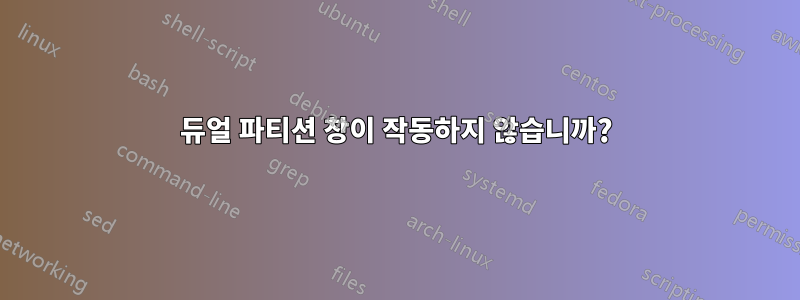 듀얼 파티션 창이 작동하지 않습니까?