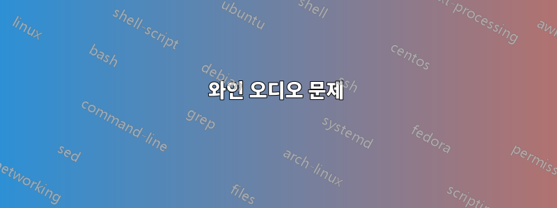 와인 오디오 문제