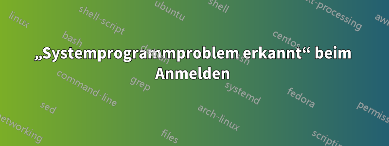 „Systemprogrammproblem erkannt“ beim Anmelden