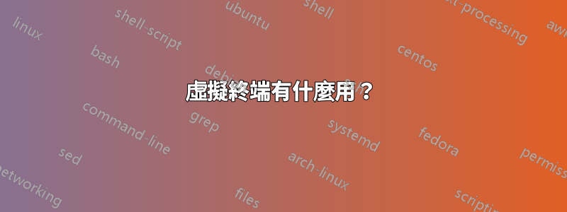 虛擬終端有什麼用？