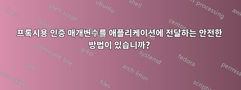 프록시용 인증 매개변수를 애플리케이션에 전달하는 안전한 방법이 있습니까?