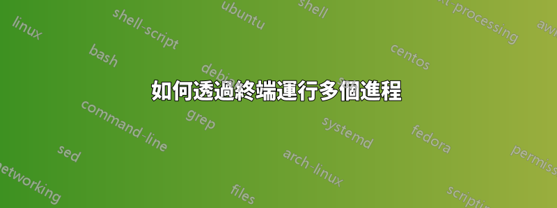 如何透過終端運行多個進程