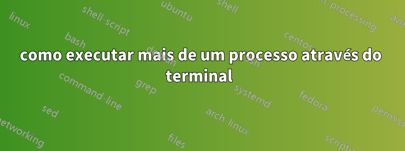 como executar mais de um processo através do terminal 