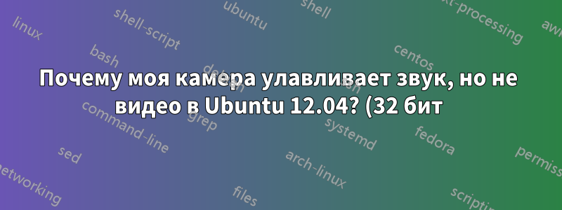 Почему моя камера улавливает звук, но не видео в Ubuntu 12.04? (32 бит)
