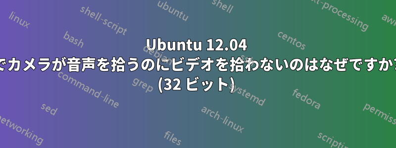 Ubuntu 12.04 でカメラが音声を拾うのにビデオを拾わないのはなぜですか? (32 ビット)