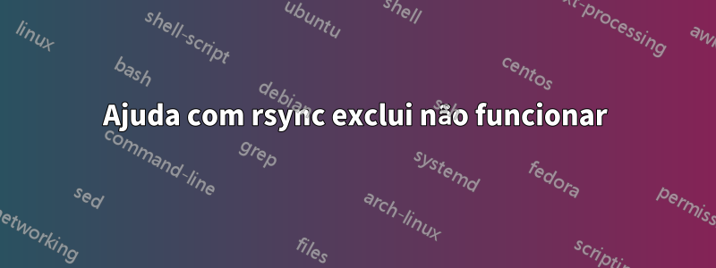 Ajuda com rsync exclui não funcionar