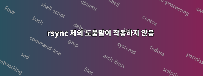 rsync 제외 도움말이 작동하지 않음