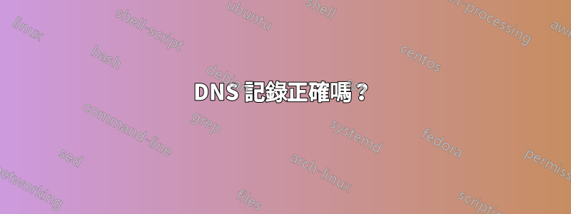 DNS 記錄正確嗎？