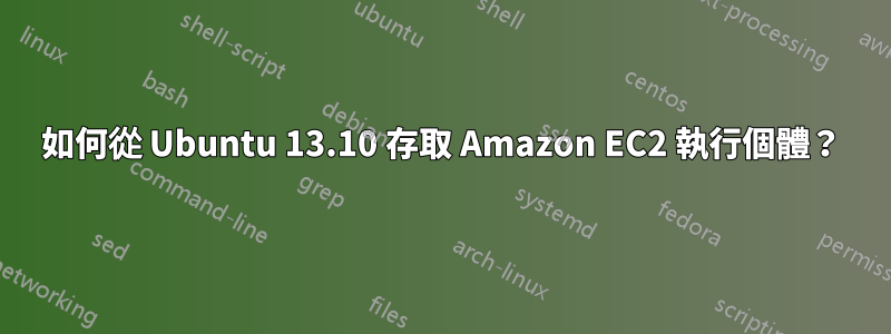 如何從 Ubuntu 13.10 存取 Amazon EC2 執行個體？