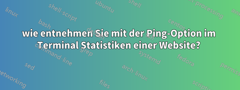 wie entnehmen Sie mit der Ping-Option im Terminal Statistiken einer Website?